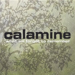 What We Forgot to Remember - Calamine - Musik - Calamine - 0616892683520 - 24. januar 2006