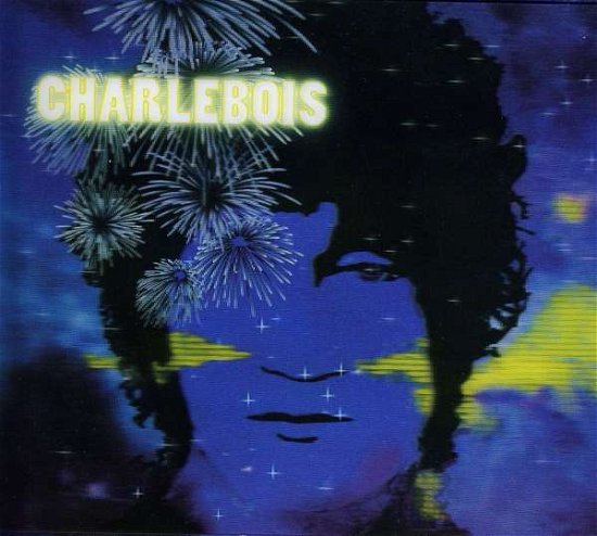 Cover for Robert Charlebois · Tout Est Bien (CD) [Deluxe edition] [Digipak] (2010)