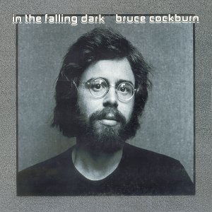 In the Falling Dark - Bruce Cockburn - Musik - FOLK - 0620638028520 - 1. August 2007