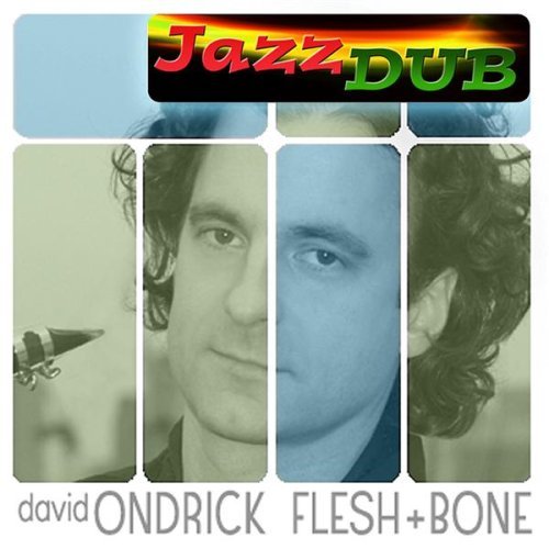 Flesh & Bone - David Ondrick - Musik - David Ondrick - 0634479484520 - 13. maj 2003