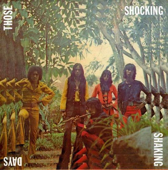Cover for Va · Those Shocking Shaking Days (CD) (2016)