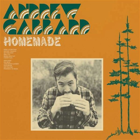 Cover for Andrew Gabbard · Homemade (LP) (2021)