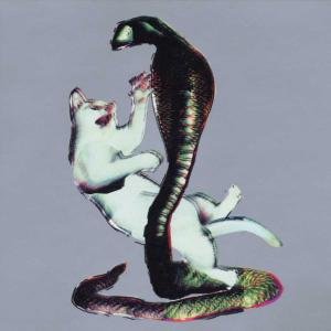 Cat And The Cobra - Les Savy Fav - Music - SOUTHERN RECORDS - 0718751857520 - May 11, 2000