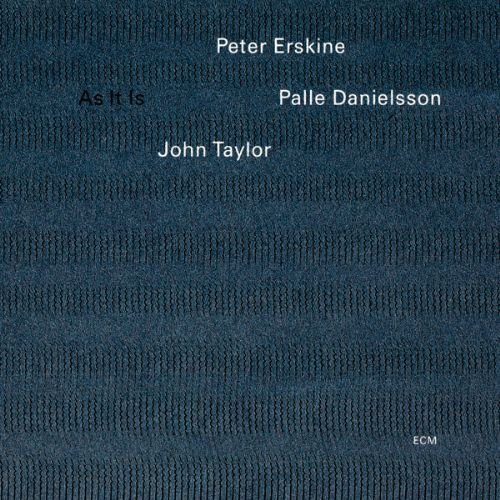Erskine Peter · As It is (CD) (1996)