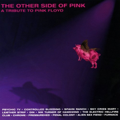 Other Side Of Pink - Various Artists - Music - Cleopatra - 0741157684520 - September 30, 2011