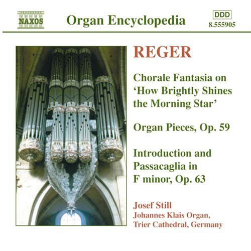 Organ Works 4 - Reger / Still - Musik - NAXOS - 0747313590520 - 20. januar 2004