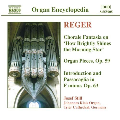 Organ Works 4 - Reger / Still - Musiikki - NAXOS - 0747313590520 - tiistai 20. tammikuuta 2004