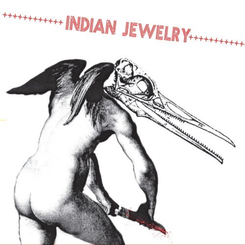 Cover for Indian Jewelry · We Are the Wild (CD) (2008)