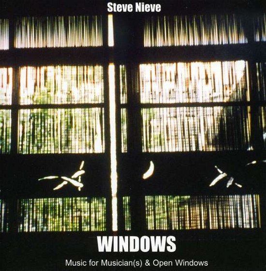 Windows - Steve Nieve - Musikk -  - 0783707872520 - 9. mars 2004