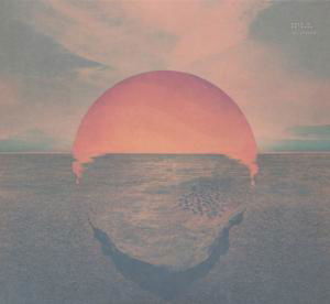 Dive - Tycho - Musiikki - GHOSTLY INTERNATIONAL - 0804297814520 - keskiviikko 2. tammikuuta 2013