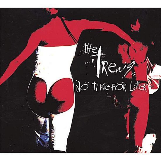 Cover for Trews · No Time for Later (CD) (2008)