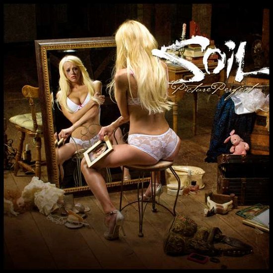 Cover for Soil · Picture Perfect (CD) (2009)