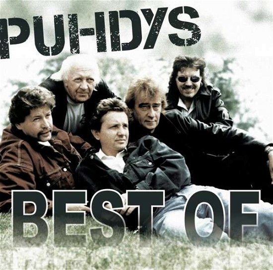 Best of - Puhdys - Musik - SONY - 0888837058520 - 12. april 2013