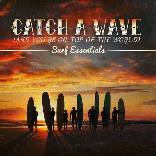 Cover for Catch a Wave / Var · Catch A Wave / Var-Catch A Wave / Var (CD) (2013)