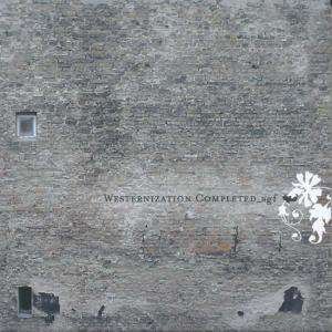 Cover for Agf  · Westernization Completed (CD)