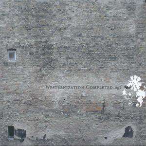 Cover for Agf  · Westernization Completed (CD)