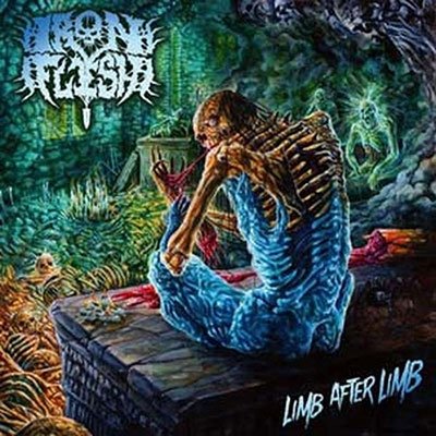 Cover for Iron Flesh · Limb After Limb (CD) [Digipak] (2023)