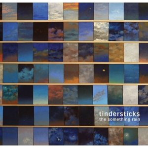 Cover for Tindersticks · The Something Rain (LP) (2012)