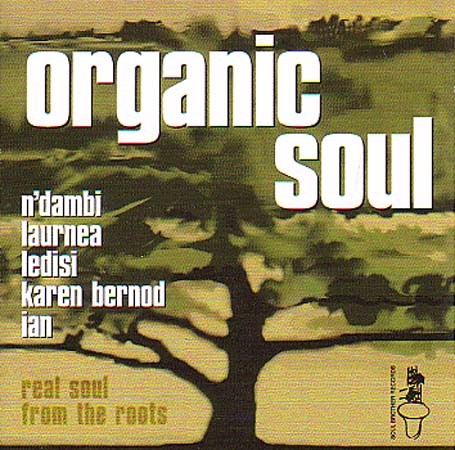 Organic Soul - V/A - Musik - SOUL BROTHER - 5013993670520 - 21. august 2003