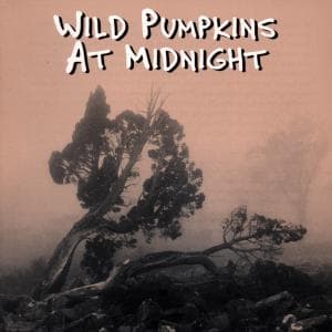 Cover for Wild Pumpkins at Midnight · Secret of the Sad Tree (CD) (2010)