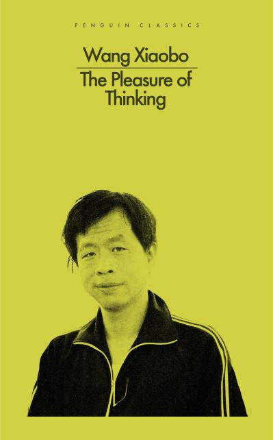 Cover for Wang Xiaobo · Pleasure of Thinking (Paperback Book) (2023)