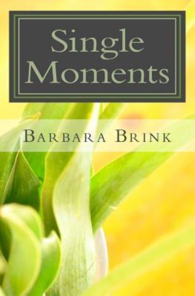 Cover for Barbara Brink · Single Moments (Paperback Book) (2011)