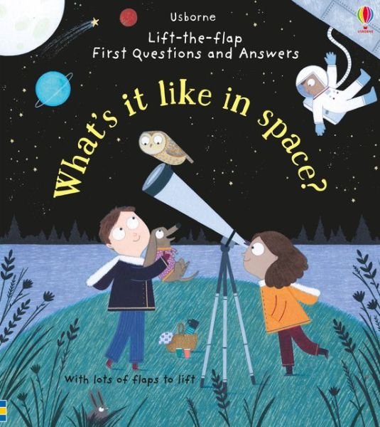 Cover for Katie Daynes · First Questions and Answers: What's it like in Space? - First Questions and Answers (Board book) (2017)
