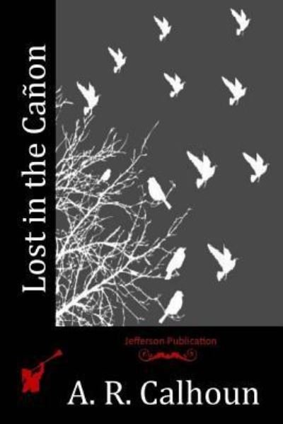 Cover for A R Calhoun · Lost in the Canon (Pocketbok) (2016)