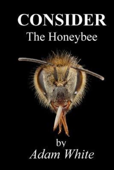 Cover for Adam White · Consider The Honeybee (Pocketbok) (2016)