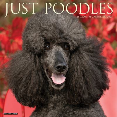 Just Poodles 2025 12 X 12 Wall Calendar - Willow Creek Press - Merchandise - Willow Creek Press Calendars - 9781549244520 - September 10, 2024