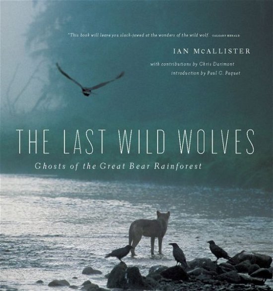 Cover for Ian McAllister · The Last Wild Wolves: Ghosts of the Rain Forest (Paperback Book) (2020)
