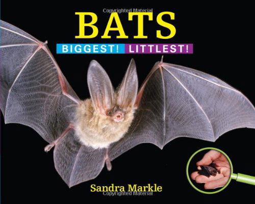 Cover for Sandra Markle · Bats: Biggest! Littlest! - Biggest! Littlest! (Gebundenes Buch) (2013)