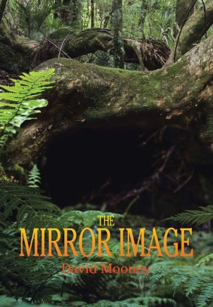 Cover for David Mooney · The Mirror Image (Hardcover Book) (2019)