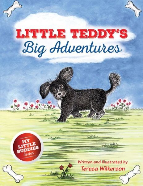 Cover for Teresa Wilkerson · Little Teddy's Big Adventures (Paperback Book) (2014)