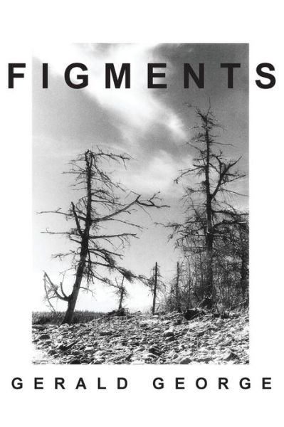Cover for Gerald George · Figments (Paperback Book) (2014)