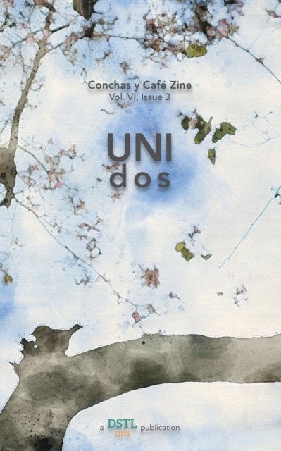 Cover for Dstl Arts · UNIdos (Pocketbok) (2021)