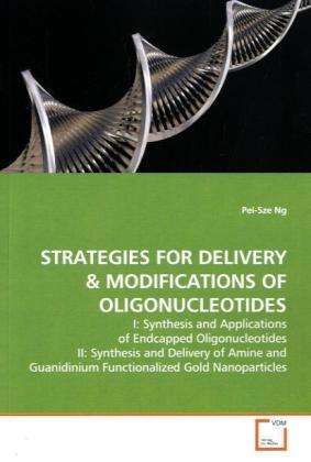 Cover for Ng · Strategies for Delivery (Buch)