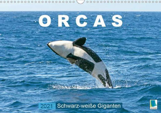 Schwarz-weiße Giganten (Wandkale - Orcas - Książki -  - 9783672478520 - 