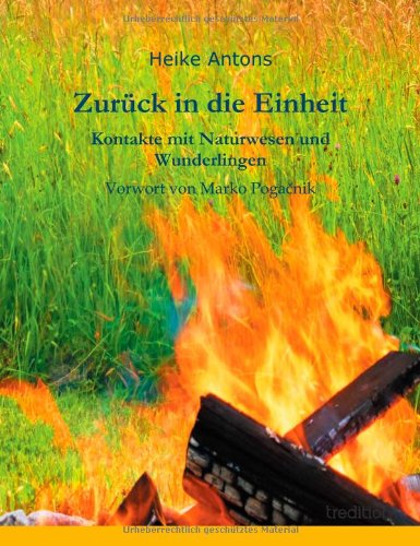 Cover for Heike Antons · Zuruck in Die Einheit (Paperback Book) [German edition] (2013)