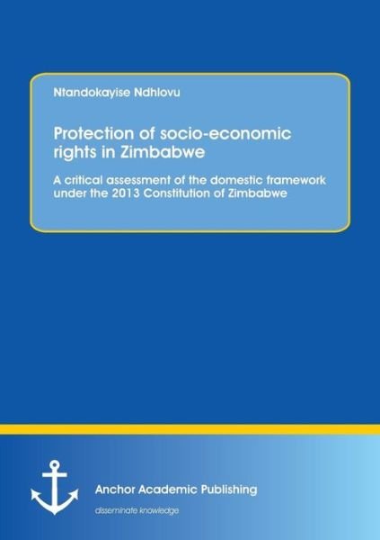 Cover for Ndhlovu · Protection of socio-economic ri (Book) (2016)