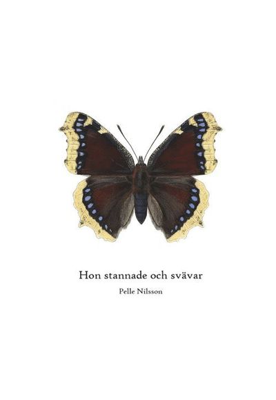 Cover for Per Nilsson · Hon stannade och svävar (Book) (2014)