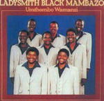 Umthombo Wamanzi - Ladysmith Black Mambazo  - Music - Shanachie - 0016351435521 - 