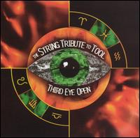 String Tribute To Tool - Third Eye Open - Tool - Muziek - VITAMIN - 0027297863521 - 30 juni 1990