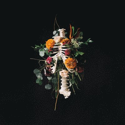 Cover for Elevation Worship · Graves into Gardens (CD) (2020)