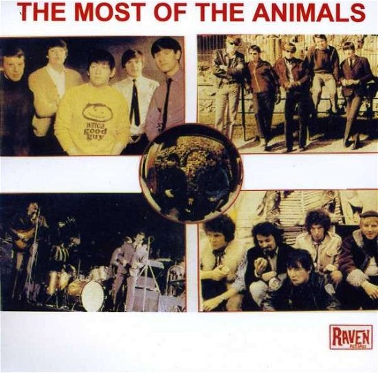 Cover for Animals · Most of the Animals (CD) (2013)