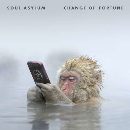 Change Of Fortune - Soul Asylum - Musiikki - SPV - 0099923545521 - torstai 17. maaliskuuta 2016