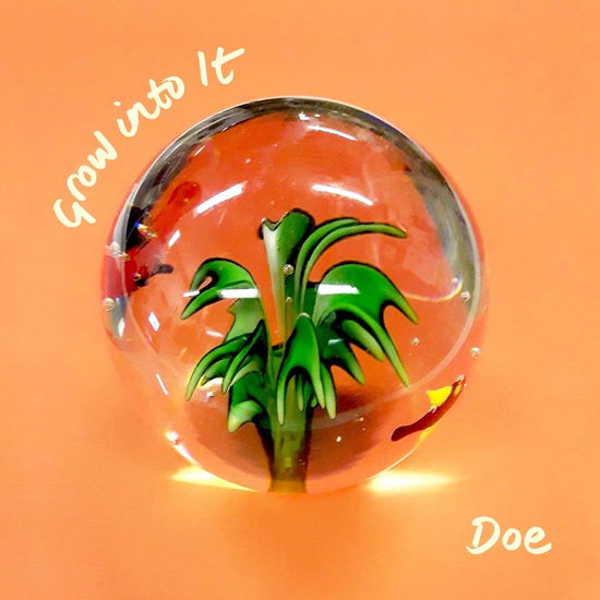 Cover for Doe · Grow into It (CD) (2018)