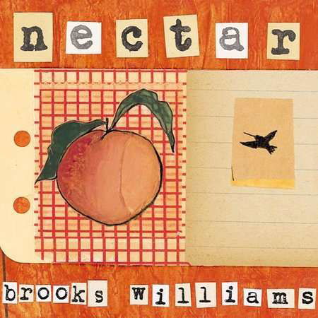 Brooks Williams - Nectar - Brooks Williams - Music - Signature - 0701237127521 - 