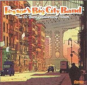 Cover for Fessor's Big City Band · 30 Years Jubi Album (CD) (1999)
