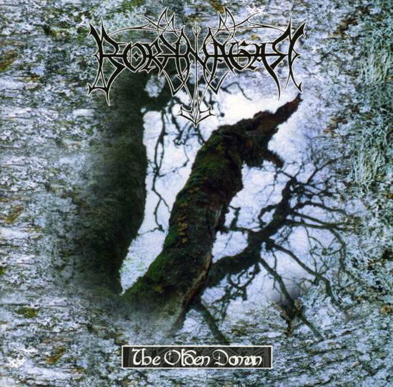 Borknagar - the Olden Domain - Borknagar - Musik - CENTURY MEDIA - 0727701789521 - 7. Oktober 1997